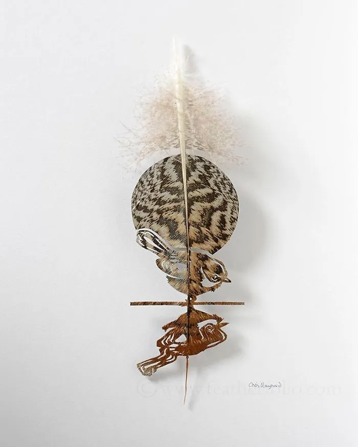 I Use Eye Surgery Scissors And Scalpels To Carve Feathers Into Intricate Art (New Pics)