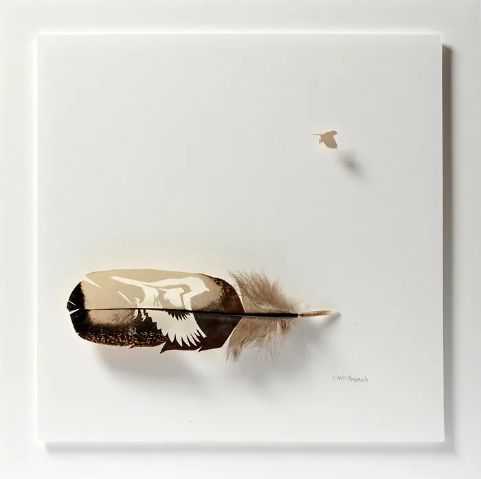 I Use Eye Surgery Scissors And Scalpels To Carve Feathers Into Intricate Art (New Pics)