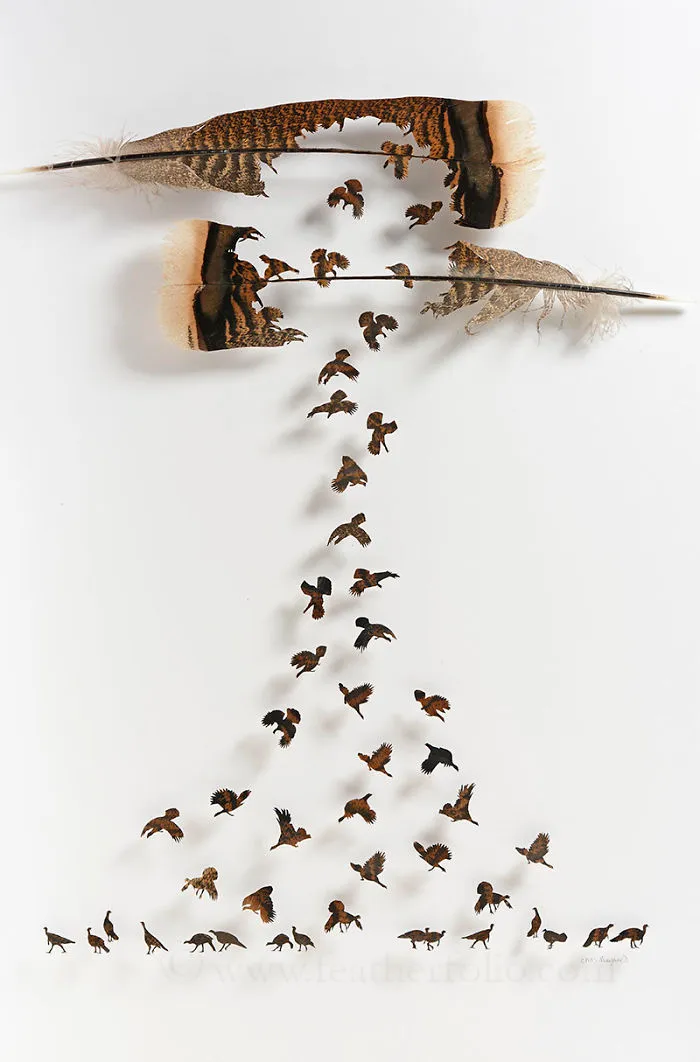 I Use Eye Surgery Scissors And Scalpels To Carve Feathers Into Intricate Art (New Pics)
