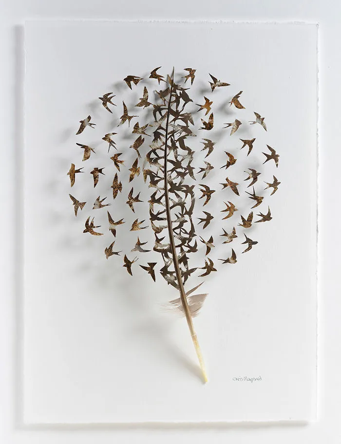 I Use Eye Surgery Scissors And Scalpels To Carve Feathers Into Intricate Art (New Pics)