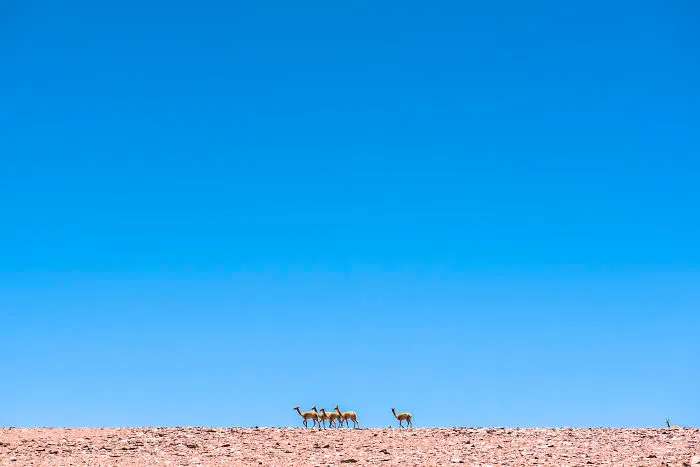 Uyuni Salt Flat And Surrounding Areas