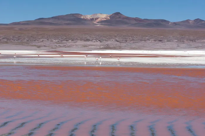 Uyuni Salt Flat And Surrounding Areas