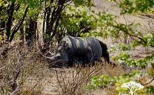 A Trip To Namibia