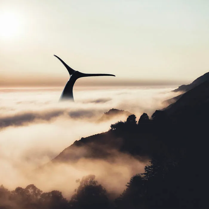 Fogwhale