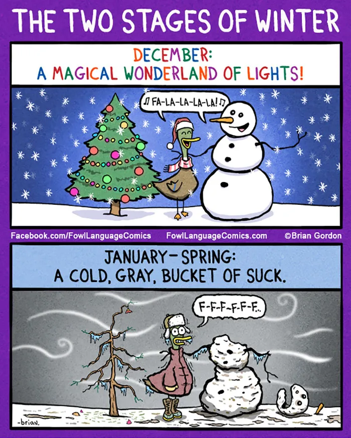 50 Funny Comics About Winter Problems That Almost Everyone Will Relate To