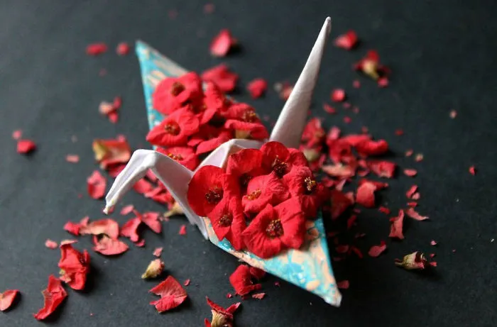 I Folded And Decorated An Origami Crane Every Day, For 1000 Days