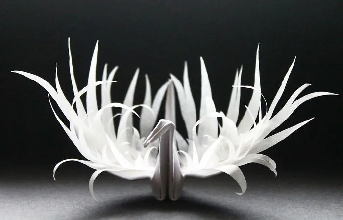 I Folded And Decorated An Origami Crane Every Day, For 1000 Days