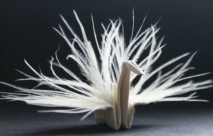 I Folded And Decorated An Origami Crane Every Day, For 1000 Days