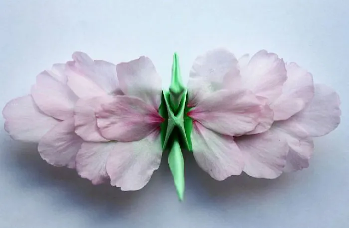 I Folded And Decorated An Origami Crane Every Day, For 1000 Days
