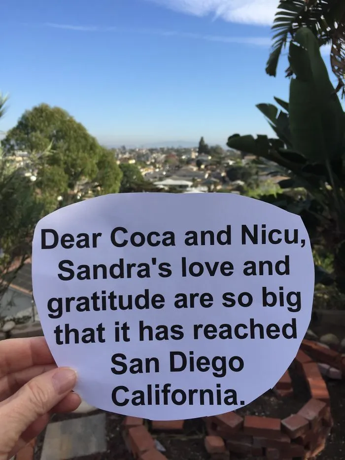 Dear Coca And Nicu