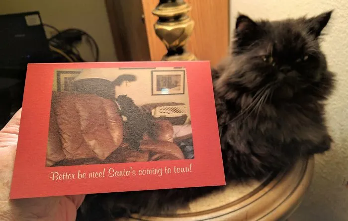 Andy And Dougy Are Brothers, Obviously. (That's Andy Holding The Card.)