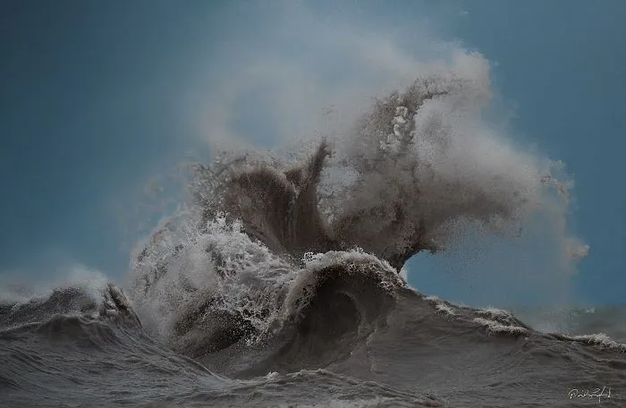 The Kraken