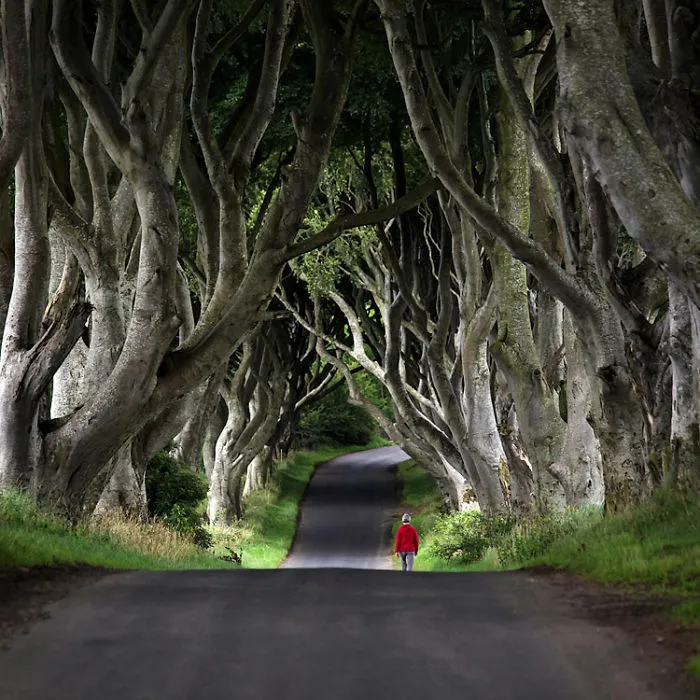 "Red Riding Hood"