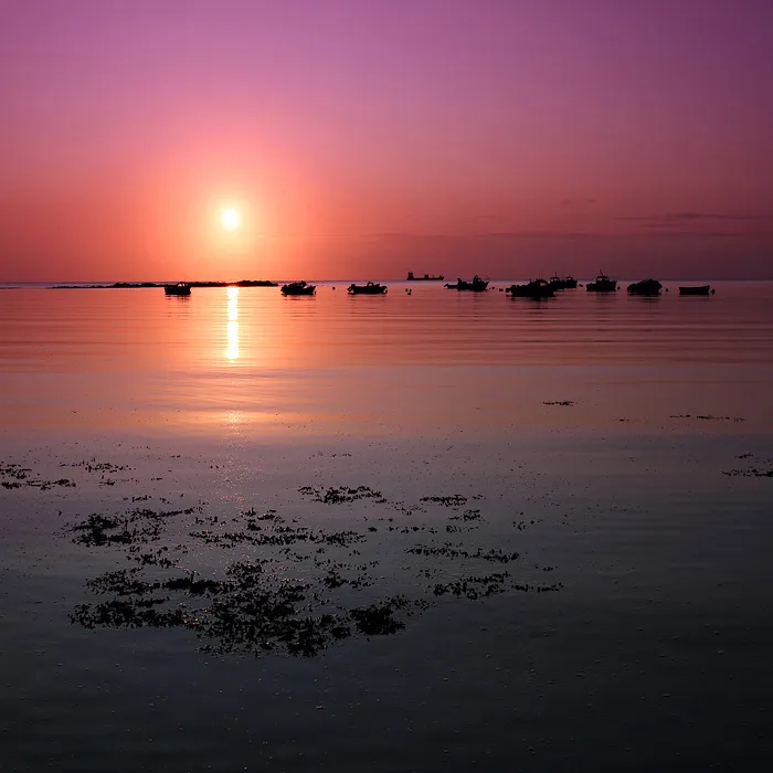 "New Day"