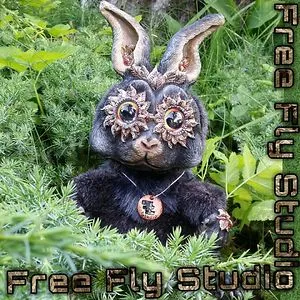 FreeFlyStudio