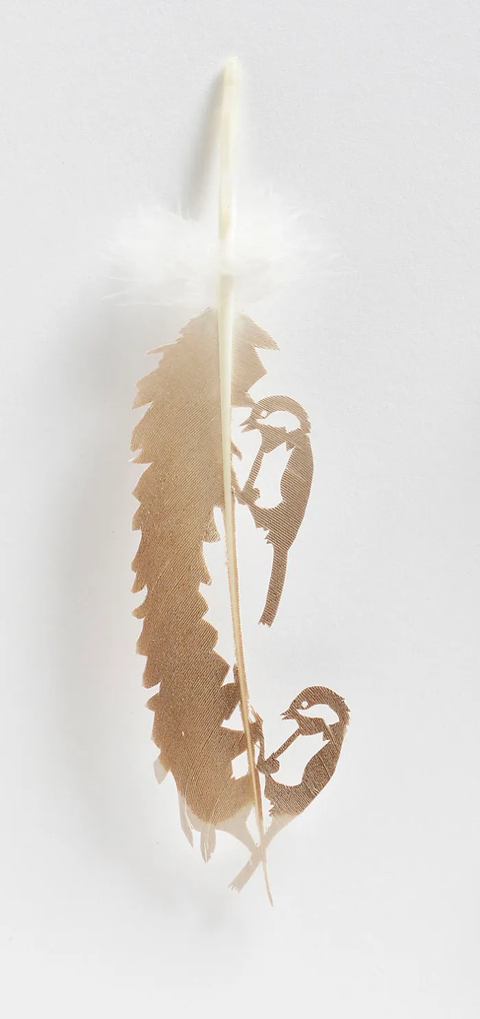 I Use Eye Surgery Scissors And Scalpels To Carve Feathers Into Intricate Art (New Pics)