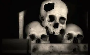 Skulls Photography By Augusto De Luca