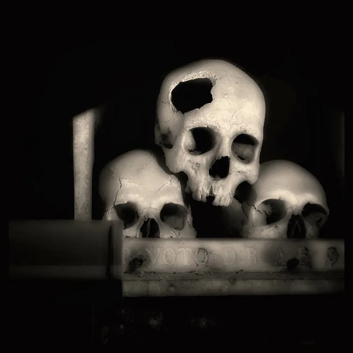 Skulls Photography By Augusto De Luca