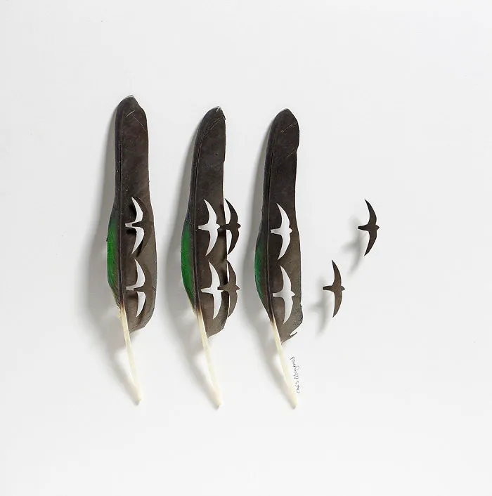 I Use Eye Surgery Scissors And Scalpels To Carve Feathers Into Intricate Art (New Pics)