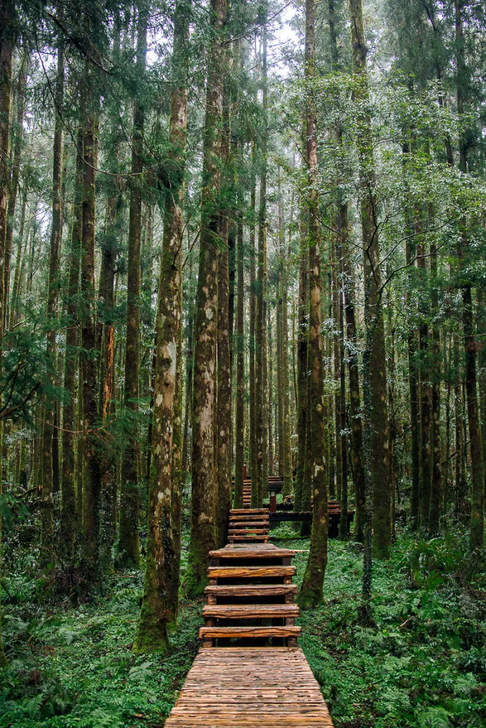 Ming Chi Forest Park