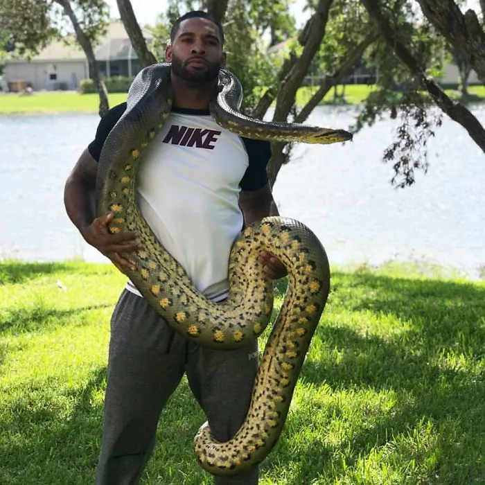 This Exotic Animal Specialist Is The Real-Life Tarzan