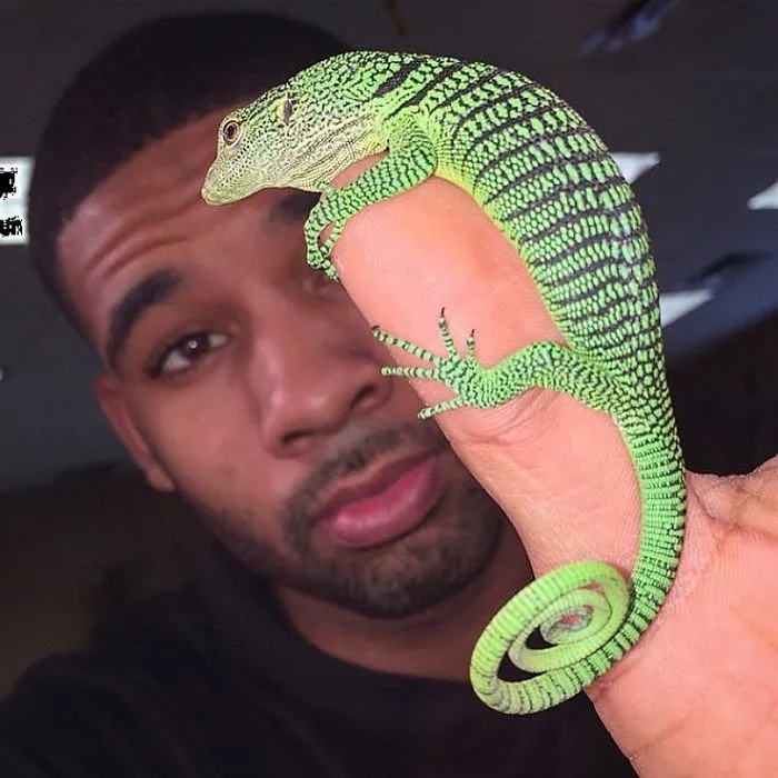 This Exotic Animal Specialist Is The Real-Life Tarzan