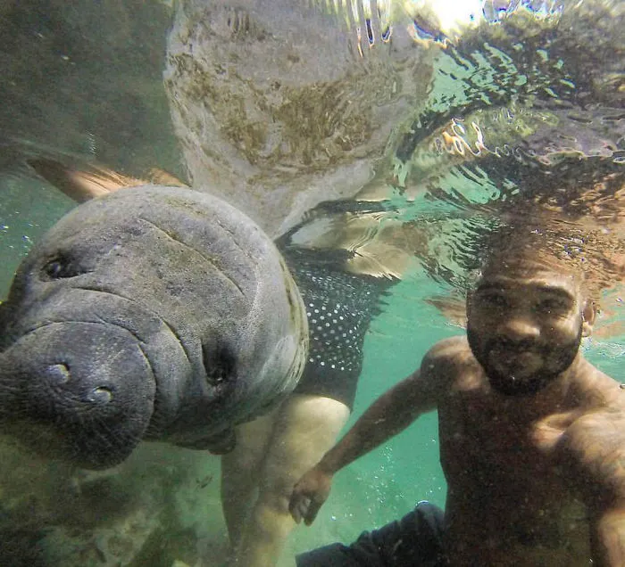 This Exotic Animal Specialist Is The Real-Life Tarzan