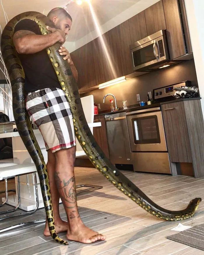 This Exotic Animal Specialist Is The Real-Life Tarzan
