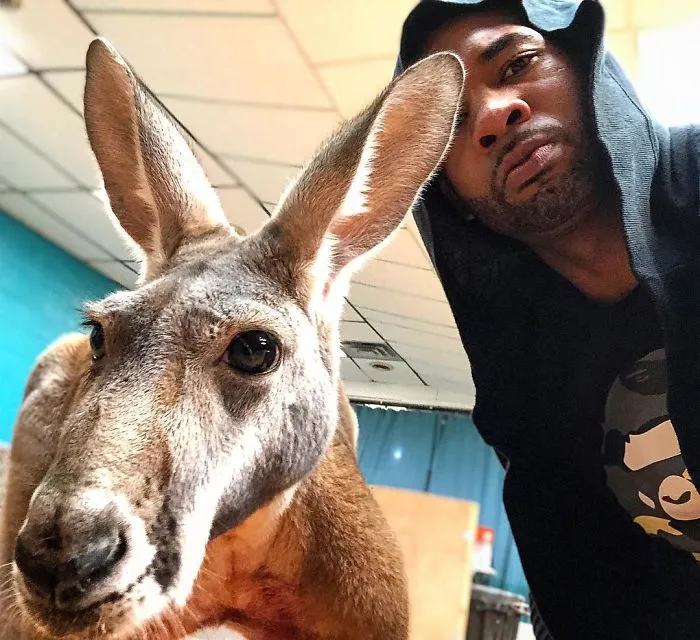 This Exotic Animal Specialist Is The Real-Life Tarzan