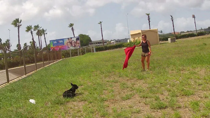 The Rescue Story Of This Handicapped Dog Will Amaze You!