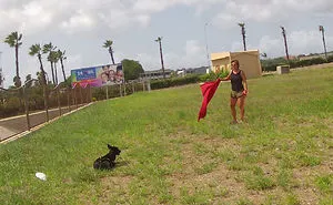 The Rescue Story Of This Handicapped Dog Will Amaze You!
