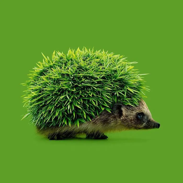 This Artist Combines Unexpected Objects Into Mind-Boggling Images