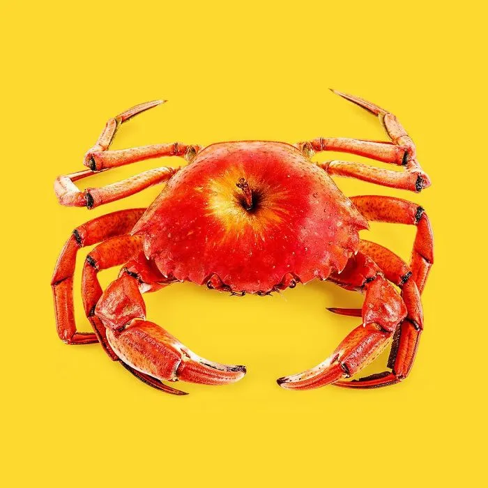 This Artist Combines Unexpected Objects Into Mind-Boggling Images