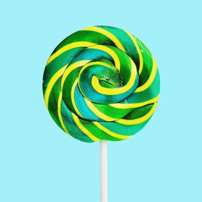 This Artist Combines Unexpected Objects Into Mind-Boggling Images