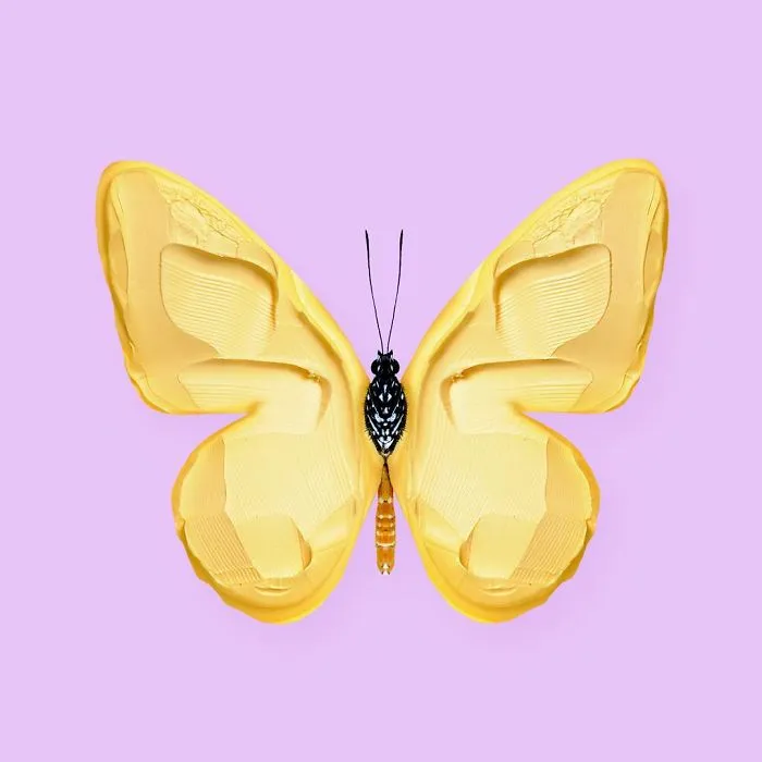 This Artist Combines Unexpected Objects Into Mind-Boggling Images