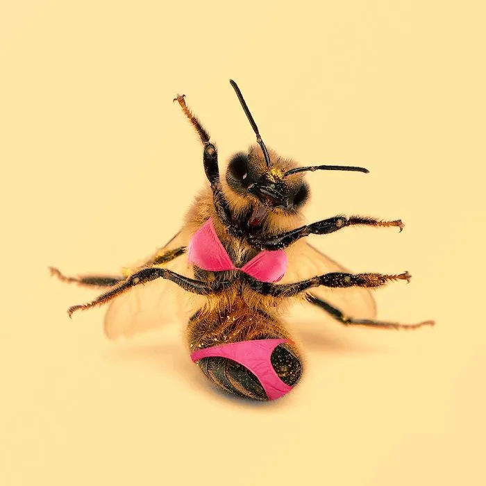 This Artist Combines Unexpected Objects Into Mind-Boggling Images