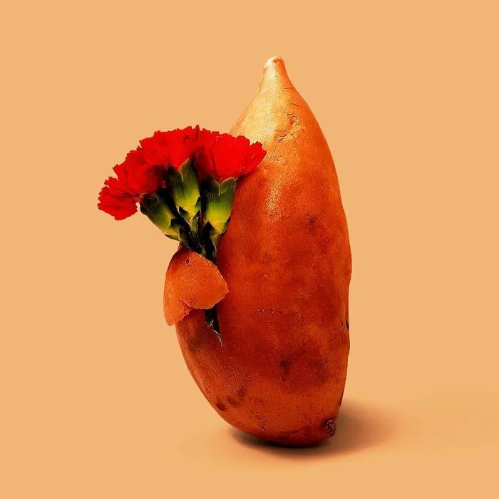 This Artist Combines Unexpected Objects Into Mind-Boggling Images