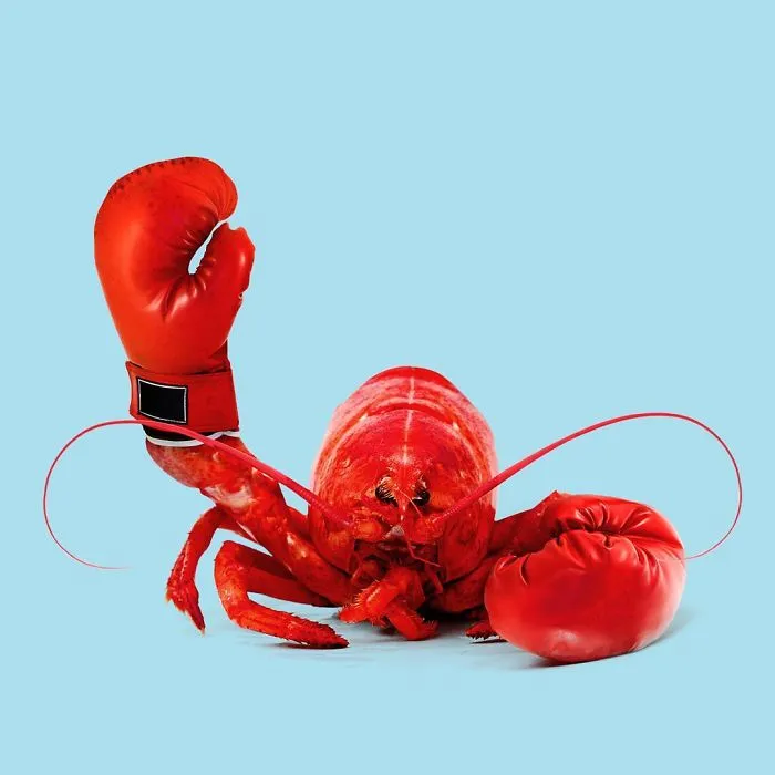 This Artist Combines Unexpected Objects Into Mind-Boggling Images