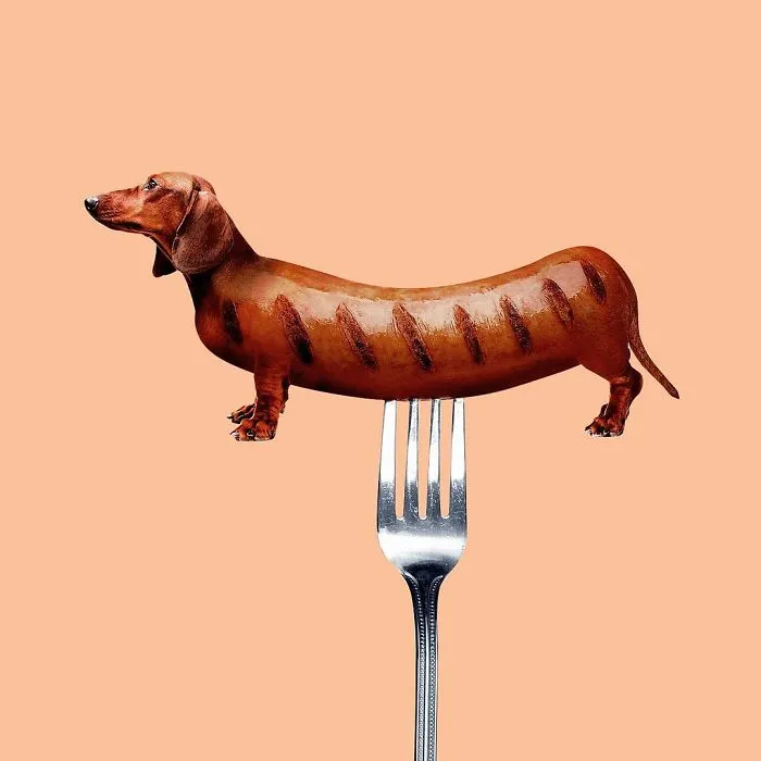 This Artist Combines Unexpected Objects Into Mind-Boggling Images