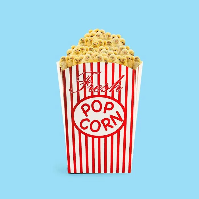 This Artist Combines Unexpected Objects Into Mind-Boggling Images