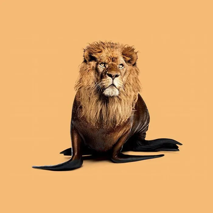 This Artist Combines Unexpected Objects Into Mind-Boggling Images