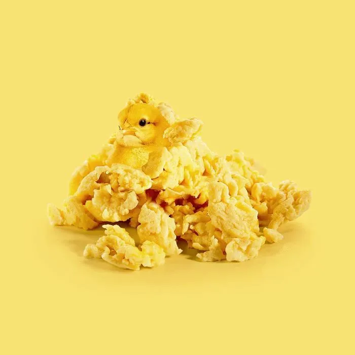 This Artist Combines Unexpected Objects Into Mind-Boggling Images