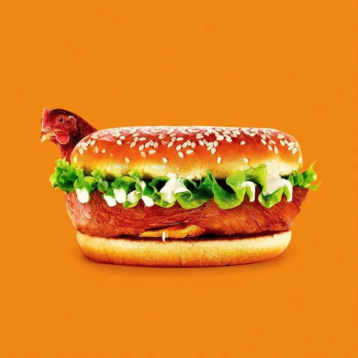 This Artist Combines Unexpected Objects Into Mind-Boggling Images