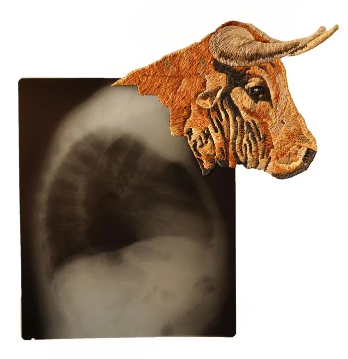 Artist Embroiders X-Rays And It's Beautiful And Creepy At The Same Time