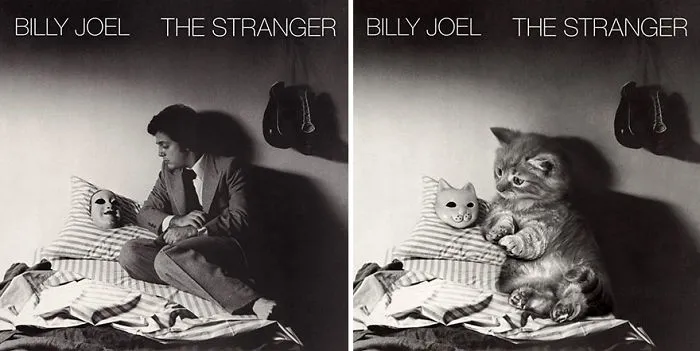 Someone Is Replacing Musicians With Cats In Famous Album Covers, And Result Is Better Than Original