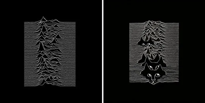 Someone Is Replacing Musicians With Cats In Famous Album Covers, And Result Is Better Than Original