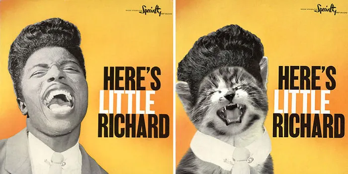 Someone Is Replacing Musicians With Cats In Famous Album Covers, And Result Is Better Than Original