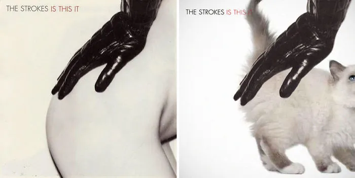 Someone Is Replacing Musicians With Cats In Famous Album Covers, And Result Is Better Than Original