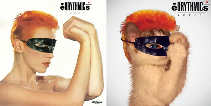 Someone Is Replacing Musicians With Cats In Famous Album Covers, And Result Is Better Than Original