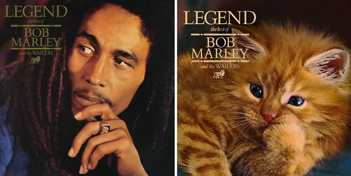 Someone Is Replacing Musicians With Cats In Famous Album Covers, And Result Is Better Than Original